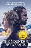 The Mountain Between Us
