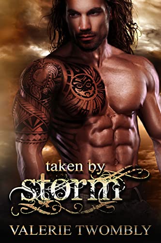 Taken By Storm book cover