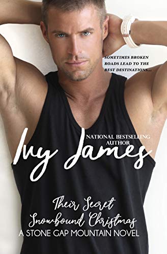 Their Secret Snowbound Christmas cover