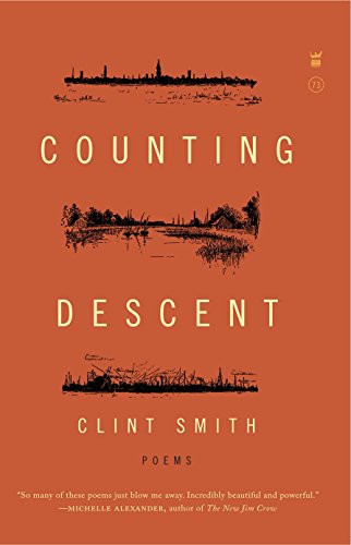 Counting Descent book cover