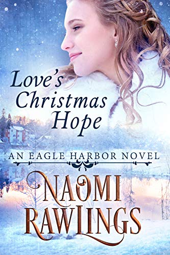 Love's Winter Hope book cover
