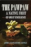 The Pawpaw Asimina Triloba A Native Fruit Of Great Excellence 1905