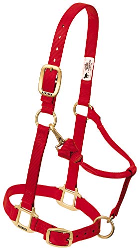 Weaver Leather Nylon Adjustable Draft Horse Halter, 1", Average, Red