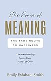 The Power Of Meaning The True Route To Happiness English Edition