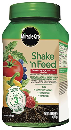 Miracle-Gro Shake 'N Feed Tomato, Fruit and Vegetable Plant Food, For In-Ground and Container Plants, Feeds up to 3 Months, 1 lb.