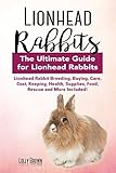 Lionhead Rabbits Lionhead Rabbit Breeding Buying Care Cost Keeping Health Supplies Food Rescue And More Included The Ultimate Guide For Lionhead Rabbits English Edition