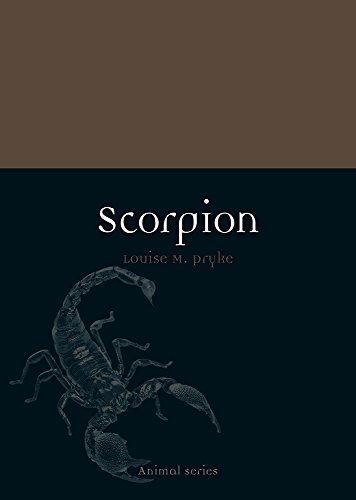 Scorpion book cover