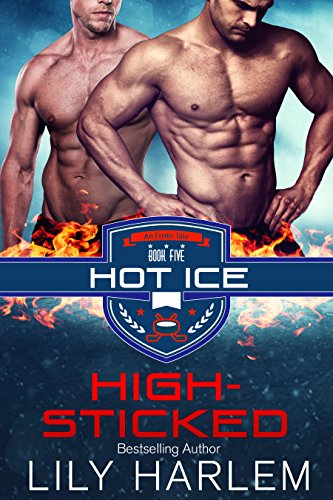 High-Sticked book cover