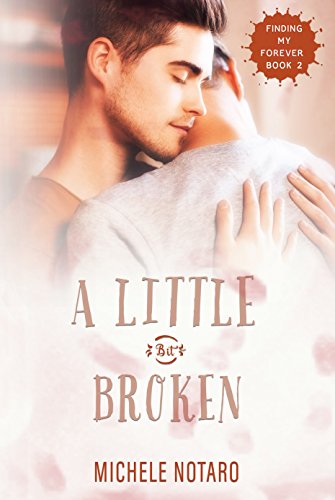 A Little Bit Broken book cover