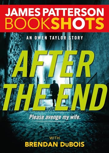 After the End book cover