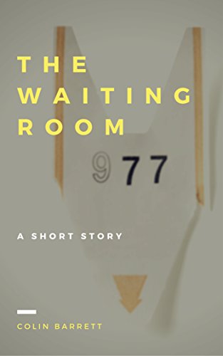 The Waiting Room book cover