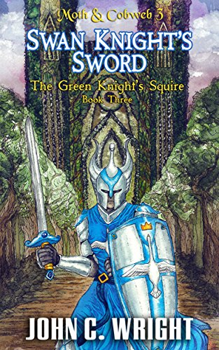 Swan Knight's Sword book cover