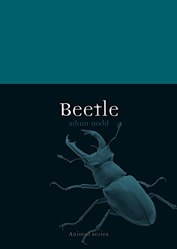 Beetle book cover