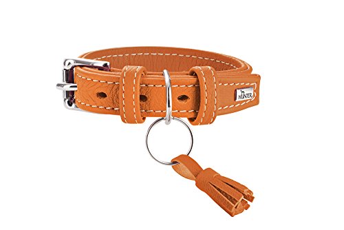 Hunter HT63300 Cannes Leather Collar, One Size