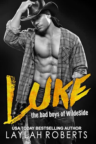 Luke book cover