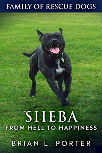 Sheba: From Hell to Happiness book cover