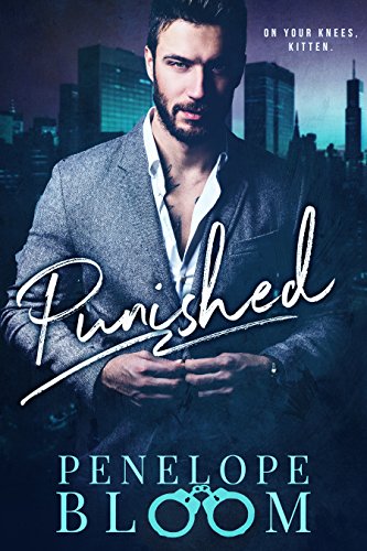 Punished book cover
