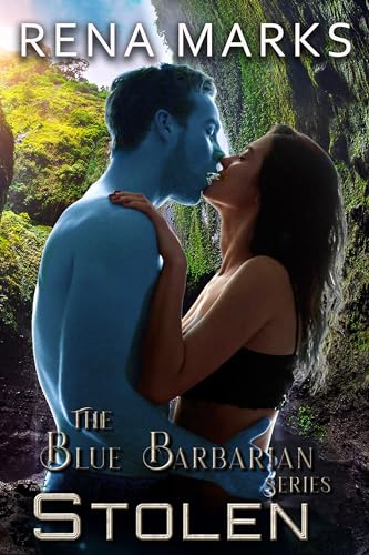 Stolen book cover