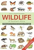 The Wildlife Of Southern Africa English Edition