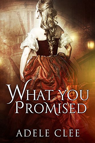 What You Promised book cover