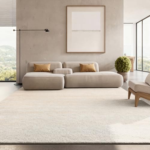 SAFAVIEH Area Rug 8x10 - Adirondack Collection - Large - Champagne & Cream, Modern Ombre Design, Non-Shedding & Easy Cleaning, Ideal for Living Room, Bedroom, Office, Dining Space (ADR113W)