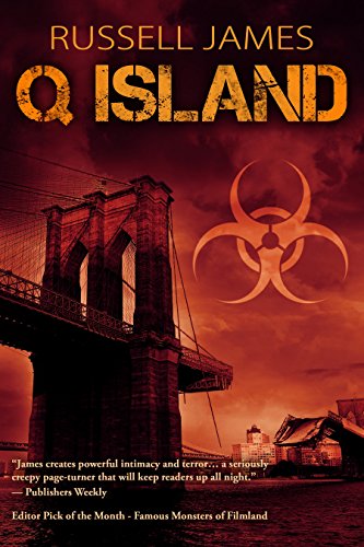 Q Island book cover