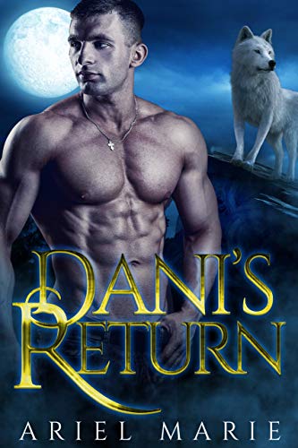 Dani's Return book cover