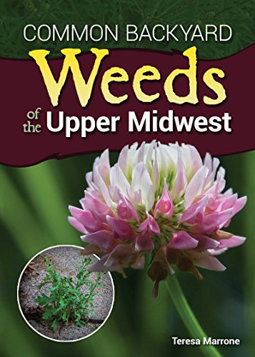 Common Backyard Weeds of the Upper Midwest book cover