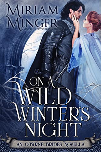 On A Wild Winter’s Night book cover