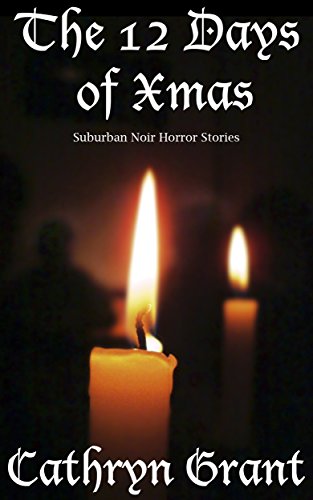 Twelve Days of Xmas book cover