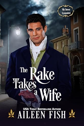 The Rake Takes a Wife book cover