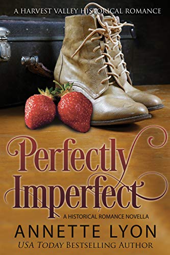 Perfectly Imperfect book cover