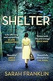 Shelter One Of The Years Hottest Debuts English Edition