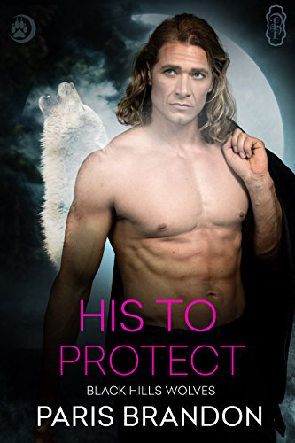 His to Protect book cover