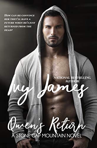 Owen's Return book cover