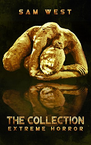 The Collection book cover