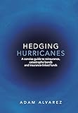 Hedging Hurricanes English Edition