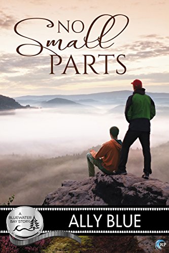 No Small Parts book cover