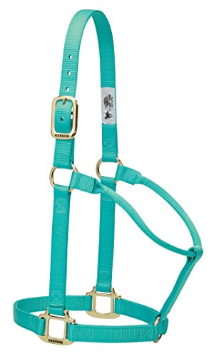 Weaver Leather Original Non-Adjustable Nylon Horse Halter, Average, Mint