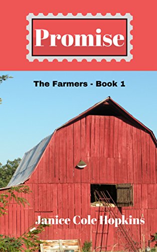Promise book cover