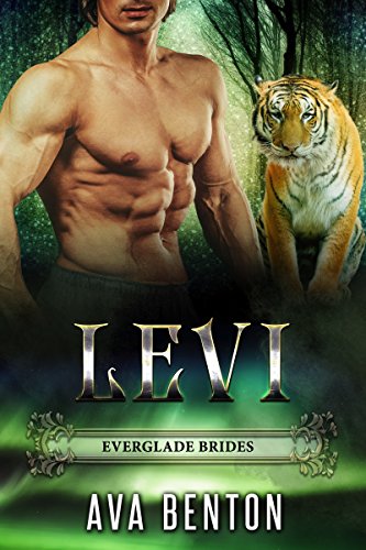 Levi book cover
