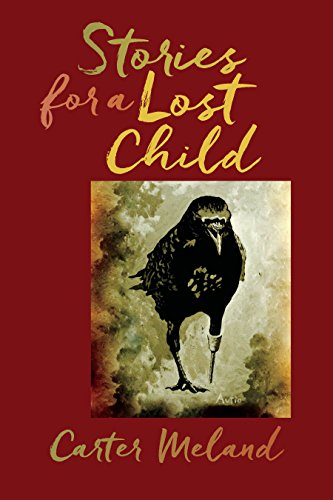 Stories for a Lost Child (By: Carter Meland) cover