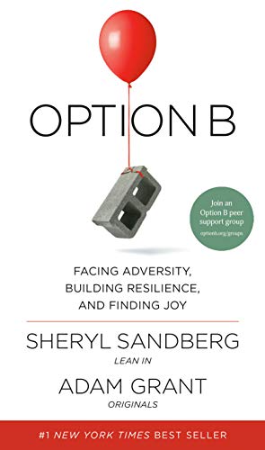 Option B cover image