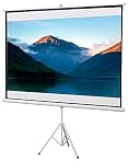 100-Inch Projector Screen