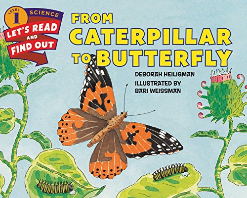 From Caterpillar to Butterfly (By: Deborah Heiligman) cover
