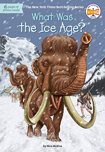 What Was the Ice Age? (By: Nico Medina,David Groff) cover