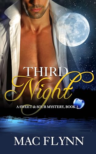 Third Night book cover