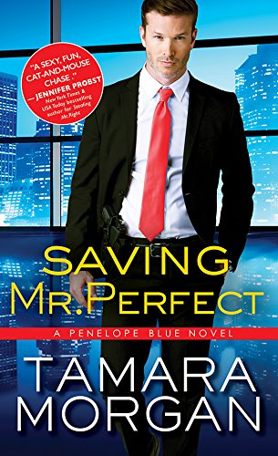 Saving Mr. Perfect book cover