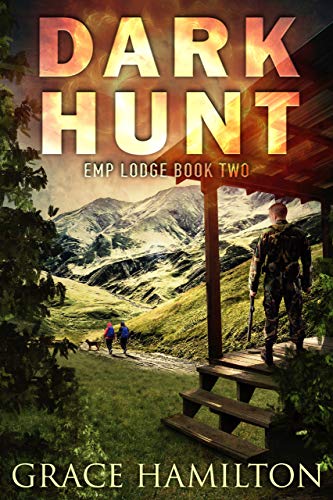 Dark Hunt book cover