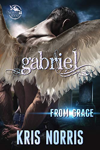 Gabriel book cover